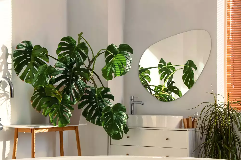 Miroir forme organique mur décoratif