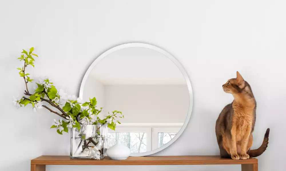 Miroir oval suspendu dans un cadre blanc