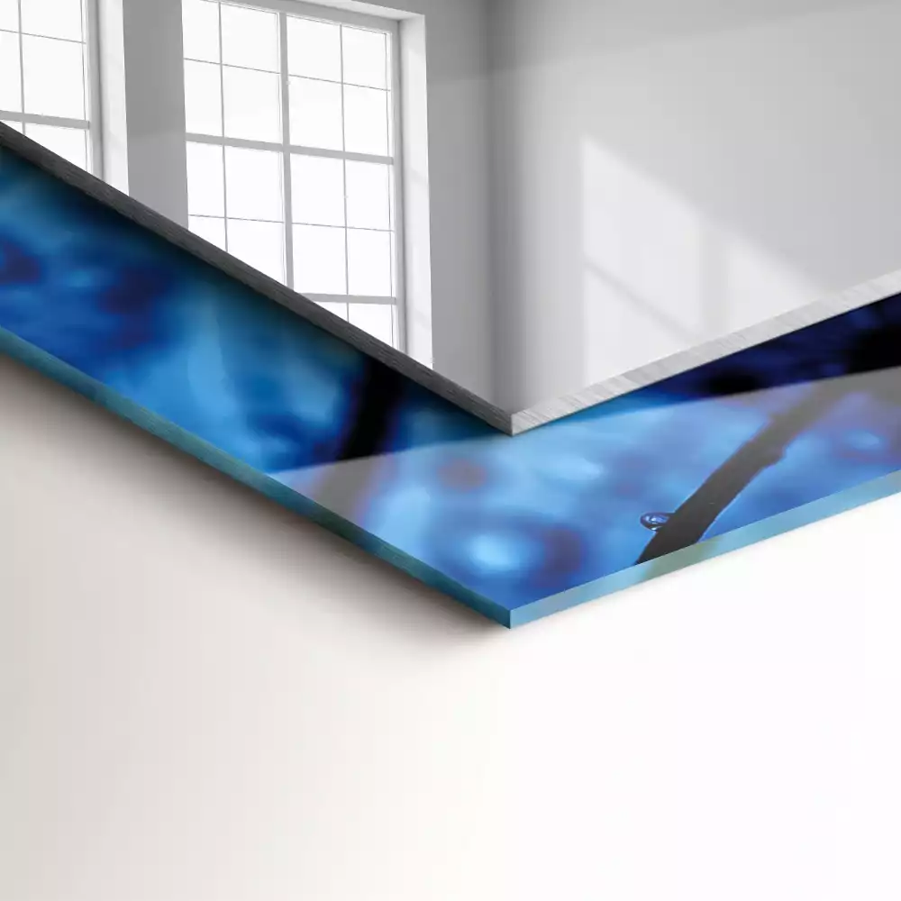 Miroir décoratif rectangulaire Gouttes sur pissenlits