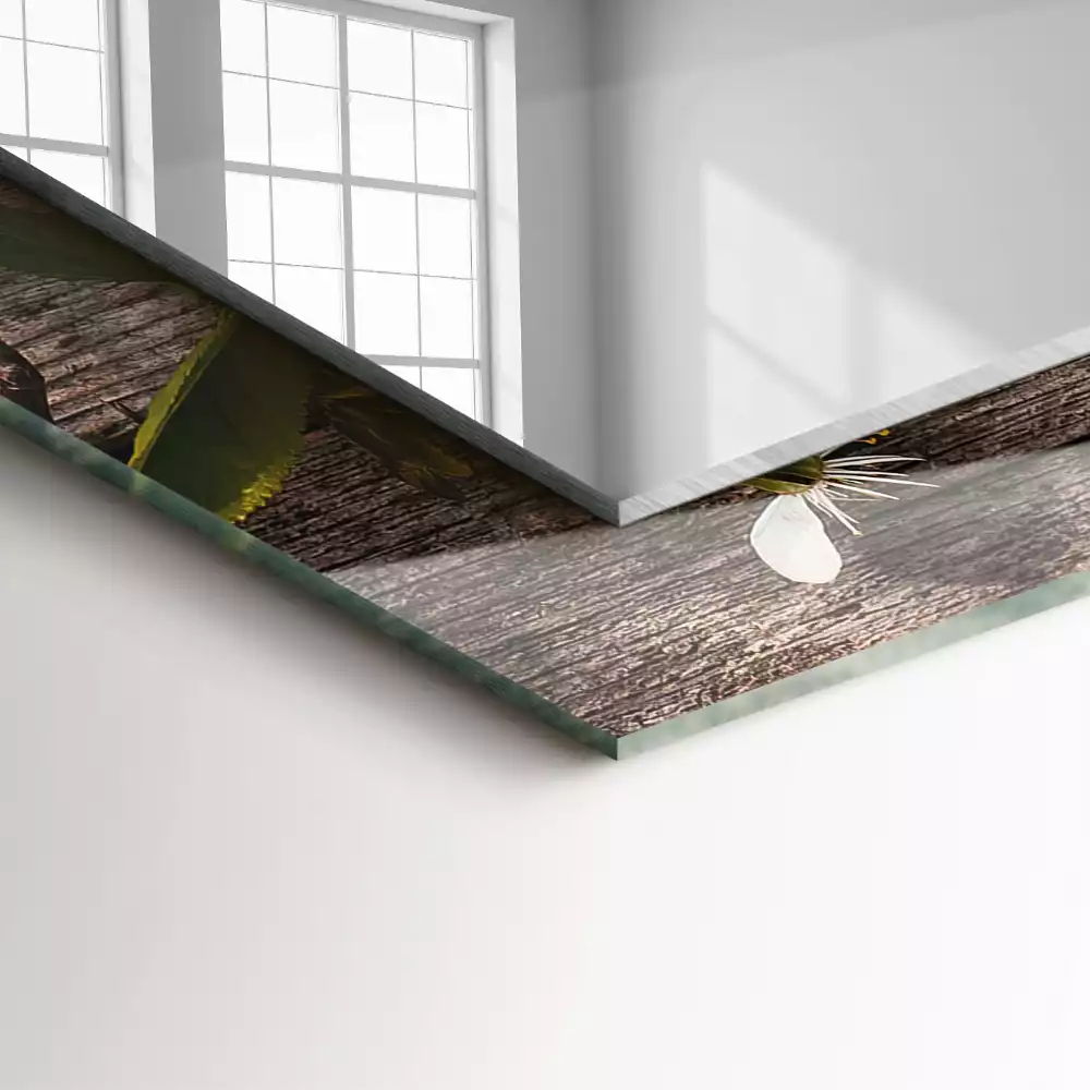 Miroir décoratif rectangulaire Fleurs sur bois